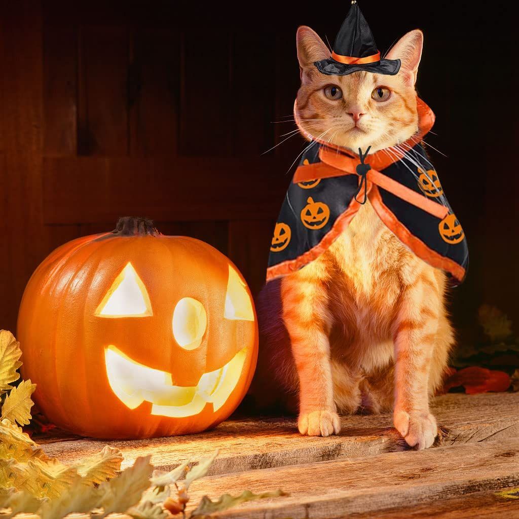 Halloween Cat Costume Cloak Witch Hat Pet Accessories Halloween Adjustable Pumpkin Pet Costumes Clothes Set, Halloween pet Costume Decor Cloak for Cats Dogs Puppy Halloween Carnival Party Supplies