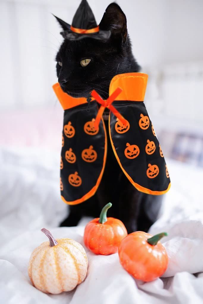 Halloween Cat Costume Cloak Witch Hat Pet Accessories Halloween Adjustable Pumpkin Pet Costumes Clothes Set, Halloween pet Costume Decor Cloak for Cats Dogs Puppy Halloween Carnival Party Supplies