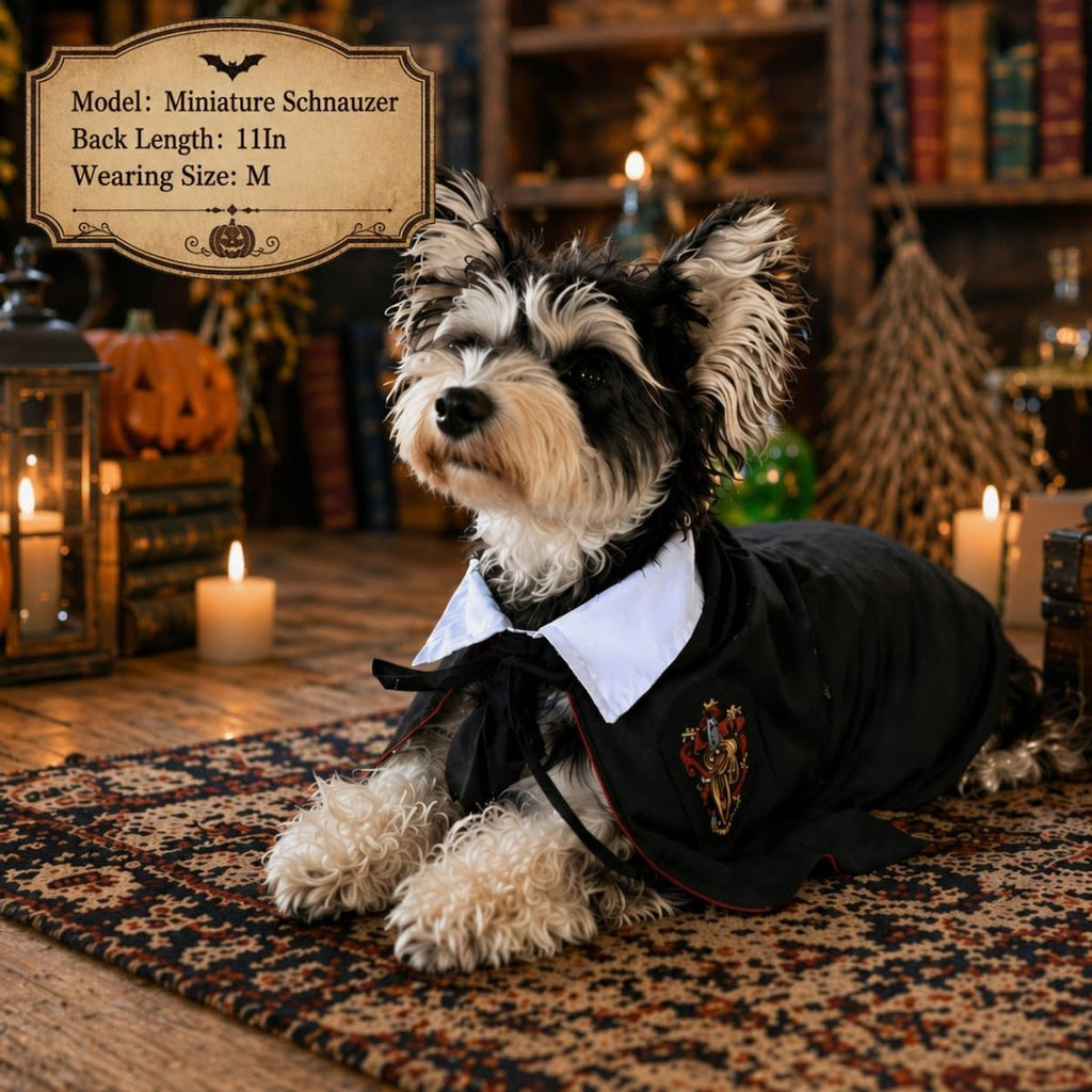 3PCS Halloween Dog Costume Cat Wizard Cape Glasses and Necktie Set Halloween Puppy Outfit Pet Academy Magician Cosplay Apparel for Kitten Cat Small Dogs - Black-Green - Size S
