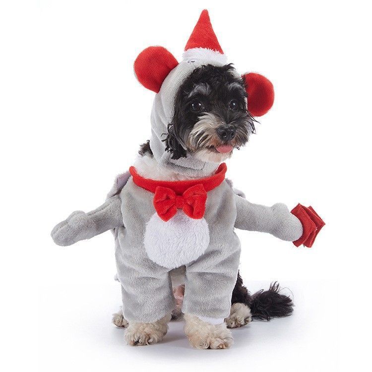 Holiday Fun Dress-up Decor For Pets, Worn Supplies For Halloween Christmas Festival Parties, Size S