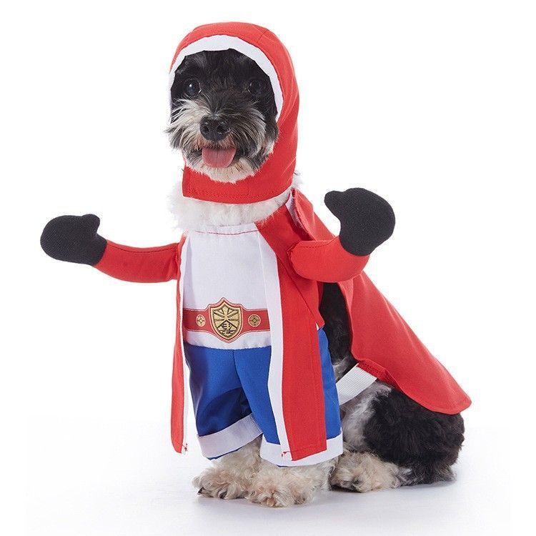 Holiday Party Dress-up Accessory For Pets, Fun Worn Decor for Halloween Christmas Celebrations, Size L