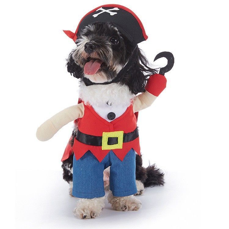 Outdoor Theme Party Supplies For Pets, Holiday Worn Decor for Halloween Christmas Celebrations, Size XL