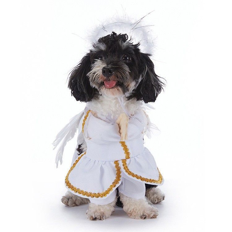 Family Holiday Gathering Outfit For Pets, Dress-up Decor For Halloween Christmas Festival Parties, Size M