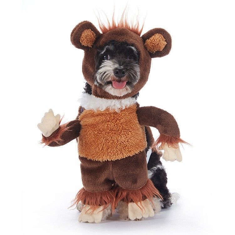 Indoor Festival Accessory For Pets, Holiday Dress-up Decor Used for Halloween Christmas Activities, Size S